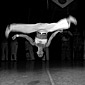 floreios