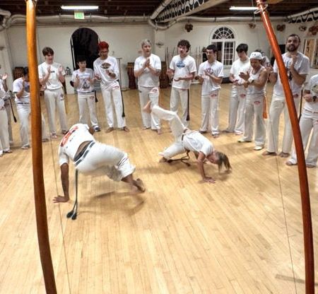 adult-capoeira